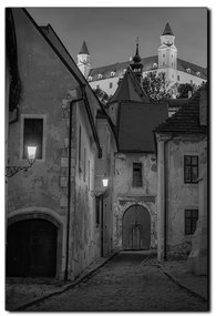 Obraz na plátne - Bratislava staré mesto s hradom vzadu - obdĺžnik 7265QA (100x70 cm)