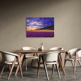 Sklenený obraz levanduľovej lúky (70x50 cm)