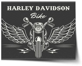 Sablio Plagát Harley-Davidson S krídlami - 60x40 cm