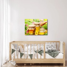 Obraz medu (70x50 cm)