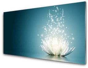 Obraz na akrylátovom skle Kvet lotosu 125x50 cm