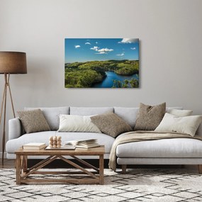 Obraz - Jazero v lesoch (90x60 cm)