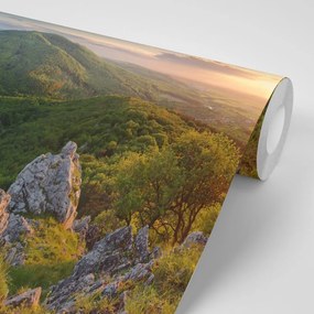 Fototapeta príroda zaliata slnkom