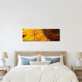Obraz - Slnečnica (s hodinami) (90x30 cm)