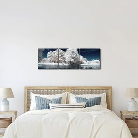 Obraz - Snehobiele stromy (s hodinami) (90x30 cm)