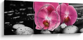 Obraz - Ružové orchidey (s hodinami) (90x30 cm)