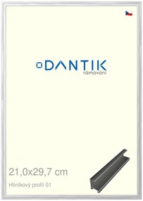 DANTIK rám na obraz 21x29,7 | ALU Stříbrná lesklá (Sklo Čiré)