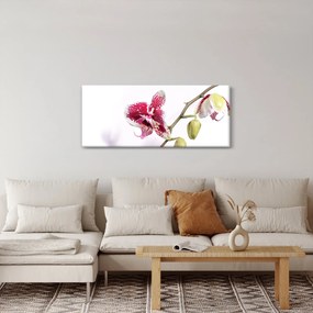 Obraz kvetu orchidey (120x50 cm)