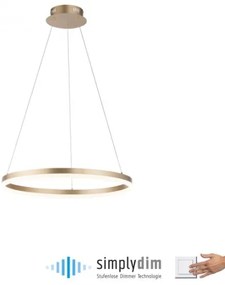 Paul Neuhaus 2382-60 - LED Stmievateľný luster na lanku TITUS LED/38,5W/230V