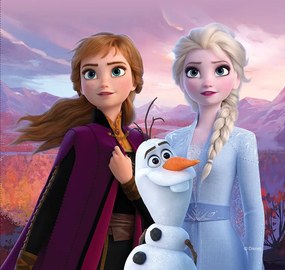 Detský vankúšik FROZEN 2 40x40 cm