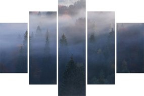 Obraz - Les v hmle, Karpaty, Ukrajina (150x105 cm)