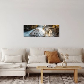 Obraz - Lesný potok (s hodinami) (90x30 cm)