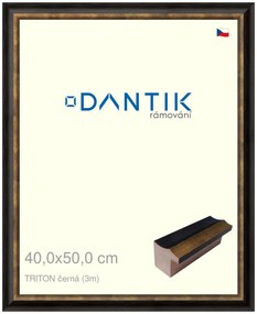 DANTIK rám na obraz 40x50 | TRITON černá (Plexi Čiré)