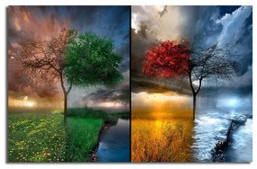 Obraz na plátne Seasons, 70 × 45 cm