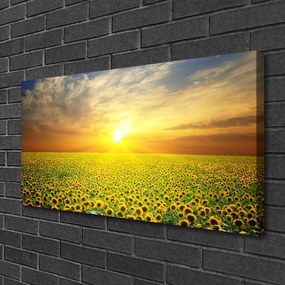 Obraz Canvas Slnko lúka slnečnica 120x60 cm