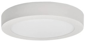 Greenlux LED Stropné svietidlo FENIX LED/24W/230V 3800K pr. 29,8 cm GXDW254