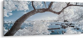 Obraz zasneženého stromu pri vode (120x50 cm)