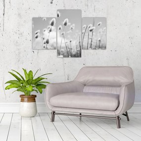 Obraz - Boho bunny tail grass (90x60 cm)