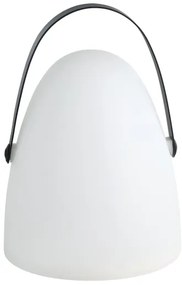 Eglo 48841 - LED Vonkajšia stolná lampa COLLIRADOS LED/3xAA IP44