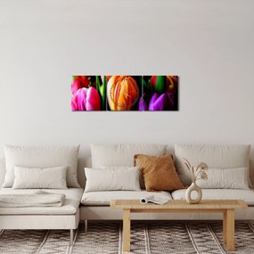 Obraz tulipánov na čiernom pozadí (s hodinami) (90x30 cm)