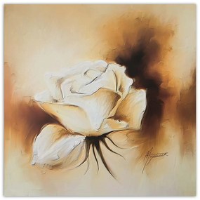 Gario Obraz na plátne Ako ručne maľovaná biela ruža Rozmery: 50 x 50 cm