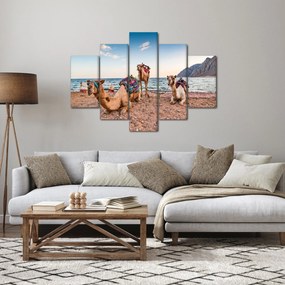 Obraz tiav (150x105 cm)