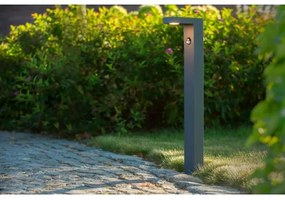 Lucide 28851/61/30 - LED Vonkajšia lampa so senzorom TEXAS LED/7W/230V IP54