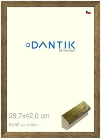 DANTIK rám na obraz 29,7x42 | DUNE zlatá (Plexi Čiré)