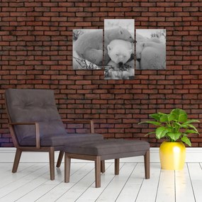 Obraz - Ľadové medvedíky, čiernobiela (90x60 cm)