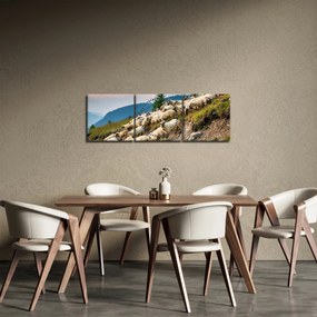Obraz - Stádo oviec (s hodinami) (90x30 cm)