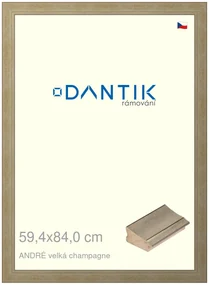 DANTIK rám na obraz 59,4x84 | ANDRÉ velká champagne (Plexi Čiré)