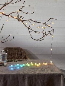 STAR TRADING Chytrá LED svetelná reťaz Fairy – 66 žiaroviek