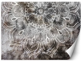 Gario Fototapeta Sivá mandala Materiál: Vliesová, Rozmery: 250 x 175 cm