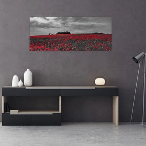 Obraz vlčích makov (120x50 cm)