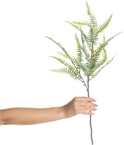Papraď na vetvičke 60cm
