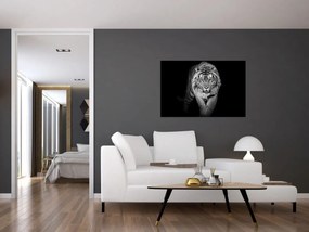 Obraz - Tiger so žltými očami (90x60 cm)