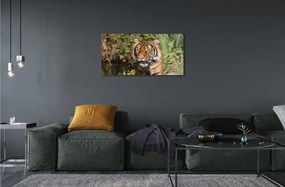 Sklenený obraz Tiger Woods 140x70 cm