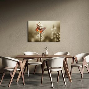 Obraz motýľa (90x60 cm)