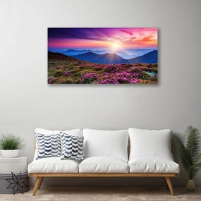 Obraz na plátne Hora lúka kvety príroda 120x60 cm