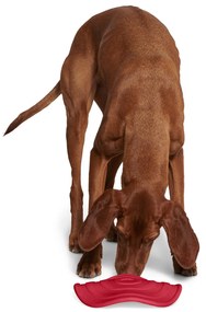 Lietajúci disk pre psy