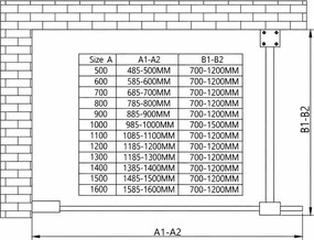 Erga Paris, sprchová zástena Walk-In 100x200 cm v čiernom ráme, 8mm číre sklo, čierny profil, ERG-V02-PARIS-100x200-BF
