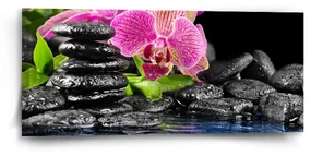 Sablio Obraz Orchidea na kameňoch - 110x50 cm
