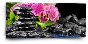 Sablio Obraz Orchidea na kameňoch - 110x50 cm