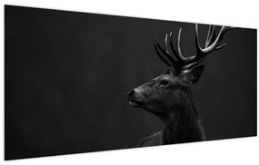 Obraz - Portrét jeleňa (120x50 cm)