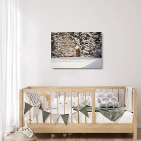 Sklenený obraz - Kôň v zimnej krajine (70x50 cm)