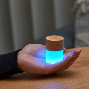 LED stolová lampa so stmievačom v prírodnej farbe so skleneným tienidlom (výška 6 cm) Lemelia – Gingko