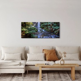Obraz australského dažďového lesa (120x50 cm)