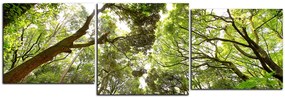 Obraz na plátne - Zelené stromy v lese - panoráma 5194E (90x30 cm)