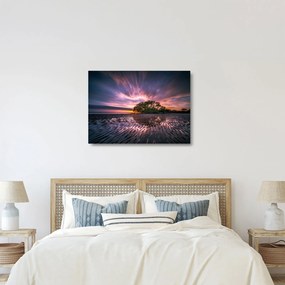 Sklenený obraz stromu na pláži (70x50 cm)