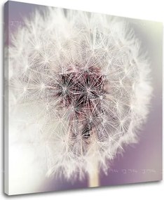 Obraz na stenu KVETY KV065E12 - 90x90 cm